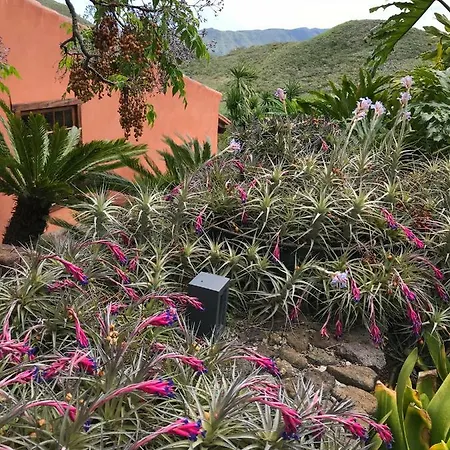 Haciendas Del Valle - Kentias *