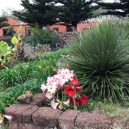 Haciendas Del Valle - Kentias *