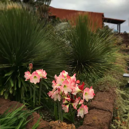 Haciendas Del Valle - Kentias Casa di campagna
