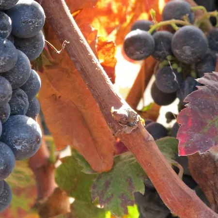 Casa di campagna Haciendas Del Valle - Kentias